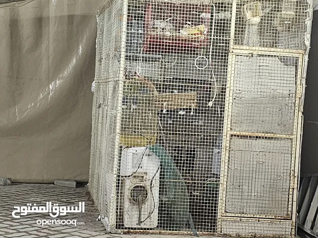 قفص للبيع في مدينة الشامخة