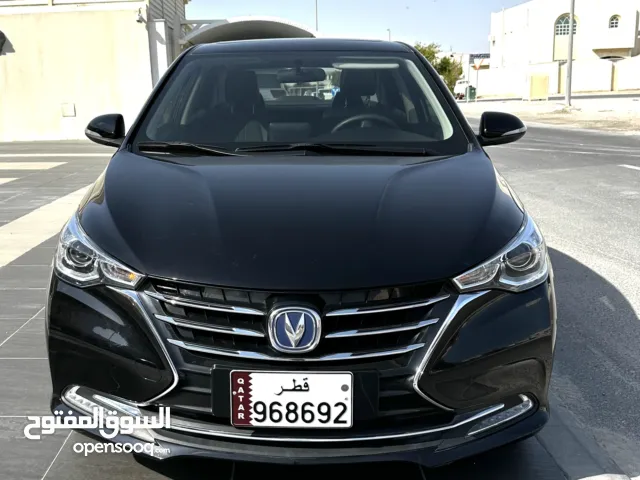 LIKE NEW ALSVIN 2025