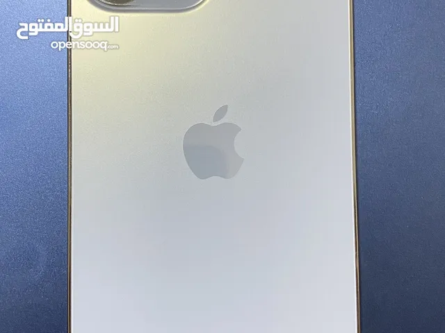 iphone 13 pro max 1TB