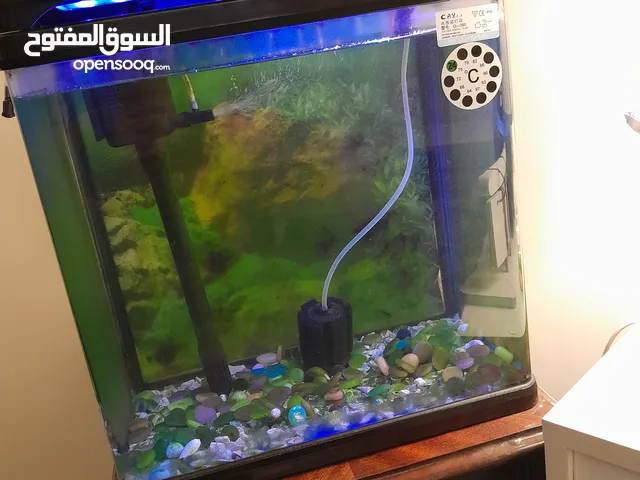 حوض أسماك مع الملحقات نظيف بس فارغ من الأسماك مابي اي ضرر حتى هيتر للشتاء موجود ومأطور