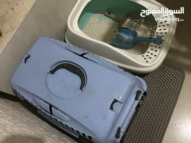 ليتر بوكس + قفص نقل + صحون اكل وماء شبه جداد ............................................