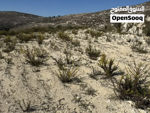 ارض بالقرب من نفق بلعا بجهة بزاريا