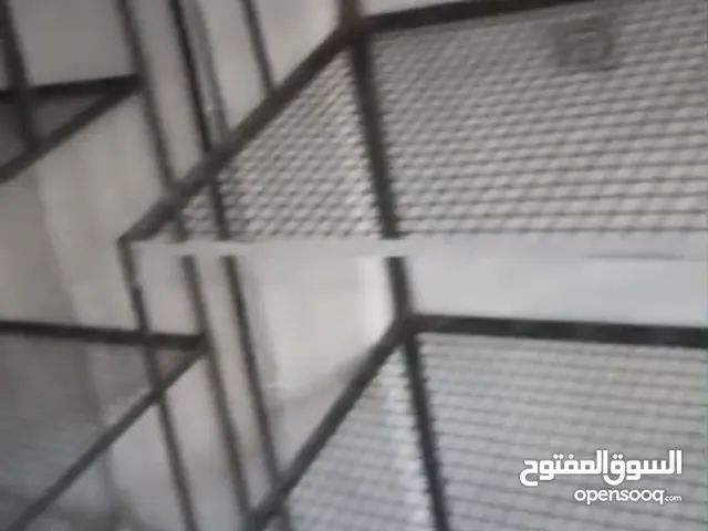 سندات خضار وفواكه للبيع طول 14 مترتقريبا