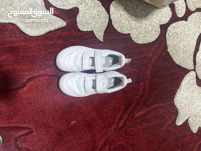 بوت اديداس رياضي
