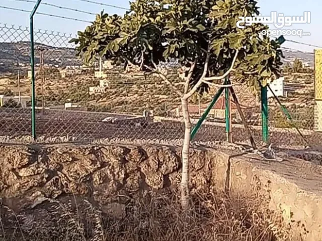 ارض بالسلط مطلة من جميع الجهات للبيع من البائع مباشرا