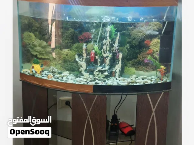 حوض سمك مع كامل اغراضه