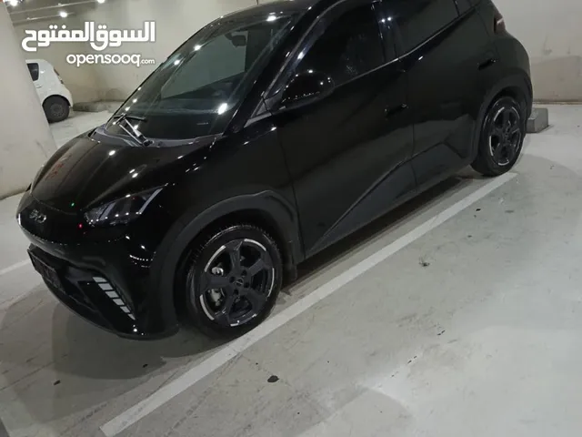 New BYD Seagull in Amman