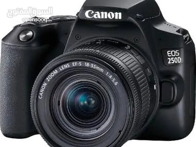 Canon DSLR Cameras in Doha