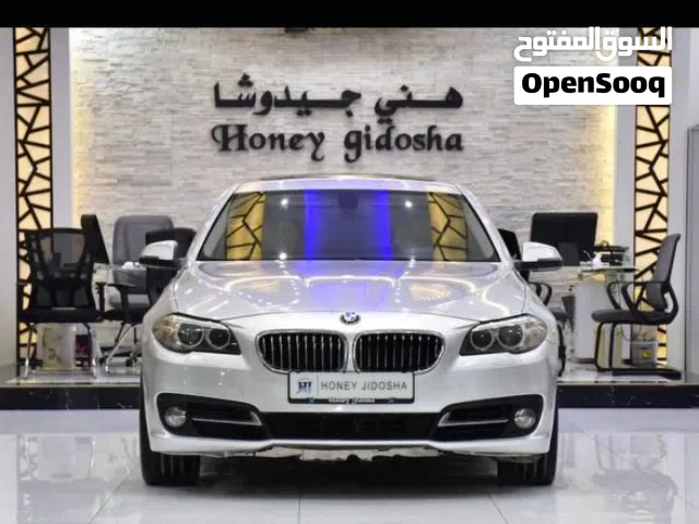 2015 BMW 5 Series 520