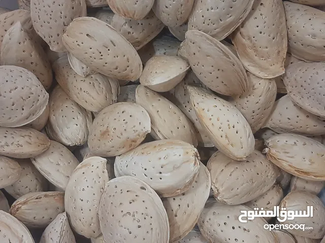 لوز طبيعي فاخر للتصدير