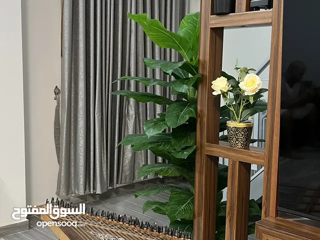 للبيع قانون مصري تراثي