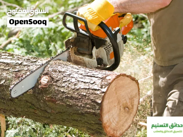 تنظيف وقص شجر ونخل بالمنشار البنزين