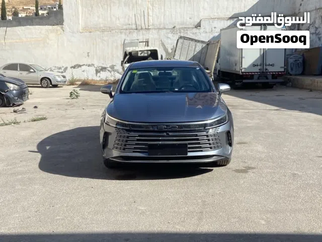 2025 BYD Destroyer 05