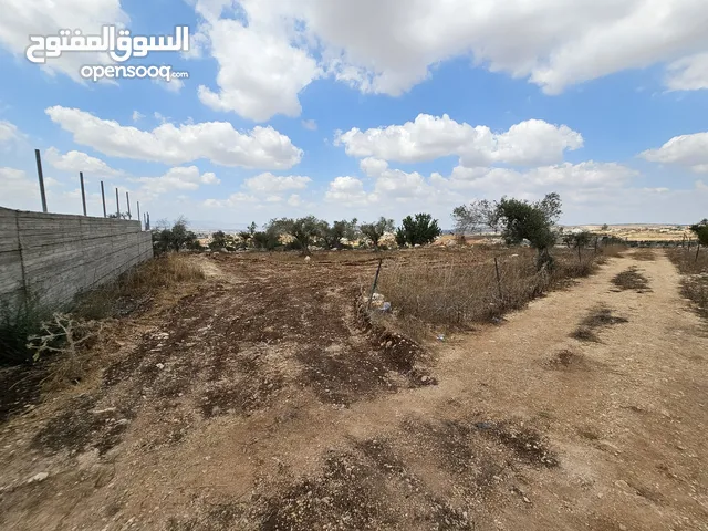 فرصة استثمارية لا تعوض . ارض مميزة للبيع في بيت قاد