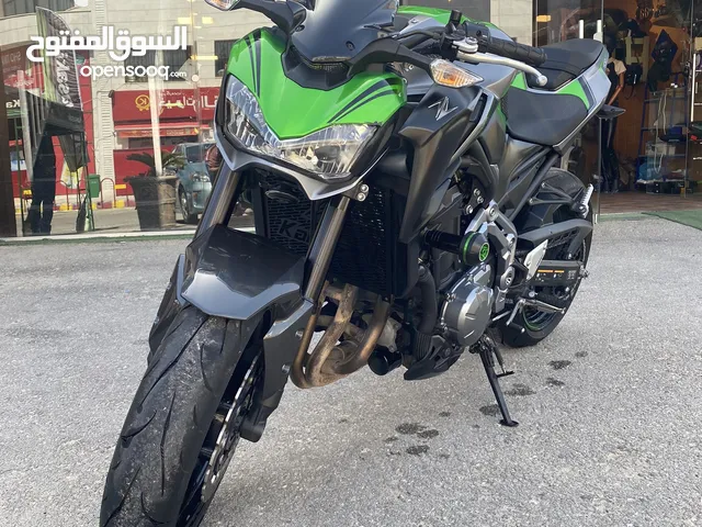 Kawasaki Z900 ABS 2019 in Amman