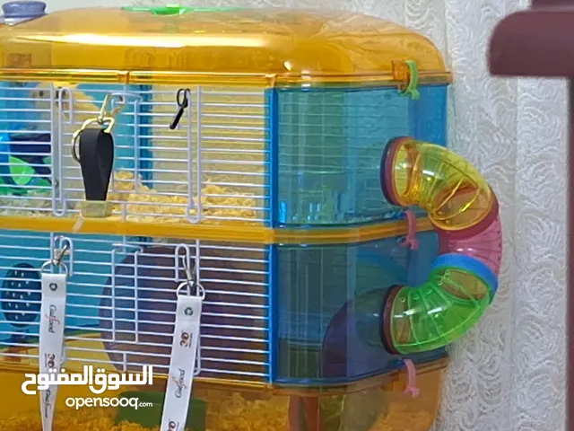 Hamster with cage for sale