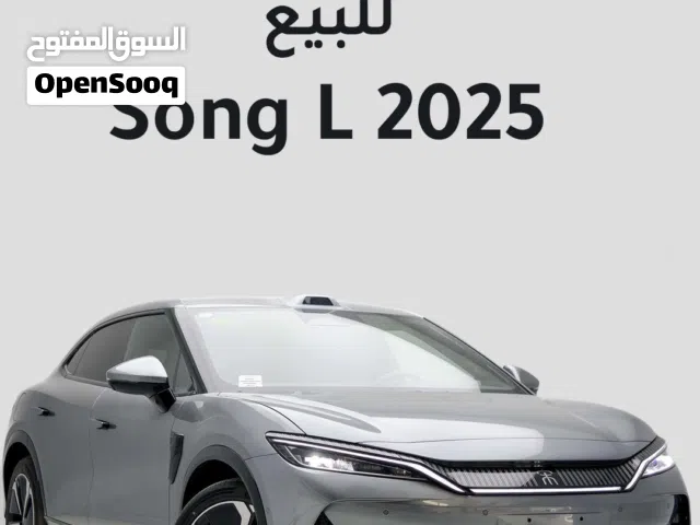 2025 بي واي دي سونج ل