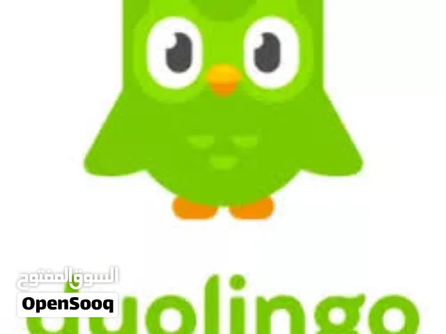 دفع اشتراكات برنامج duolingo