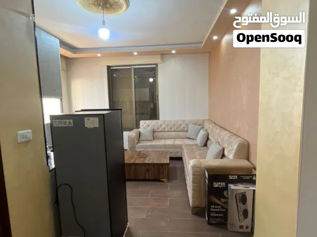 استديو جديد مفروش للايجار