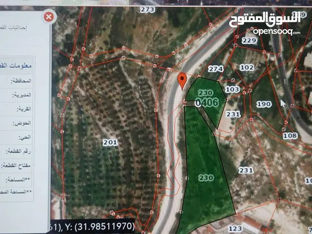 للاسثمار قطعة أرض في الأردن  (البلقاء)