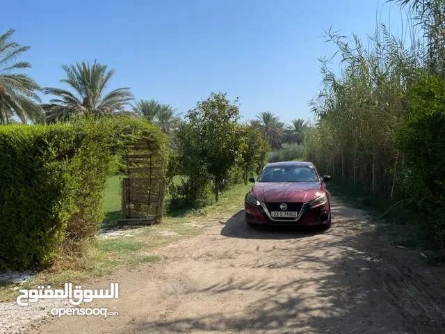 Used Nissan Altima in Baghdad