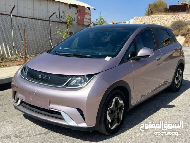 2023, BYD, Dolphin
