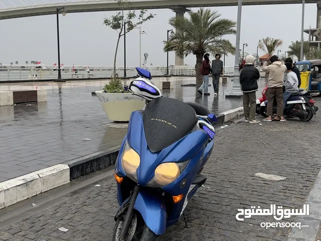 للبيع فورزا MF10 – أرقى موديل وأحلى دراجة!