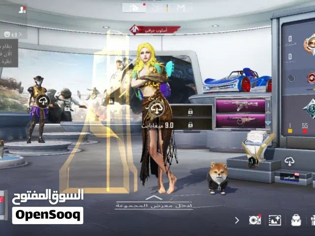 حساب ببجي  عرطه
