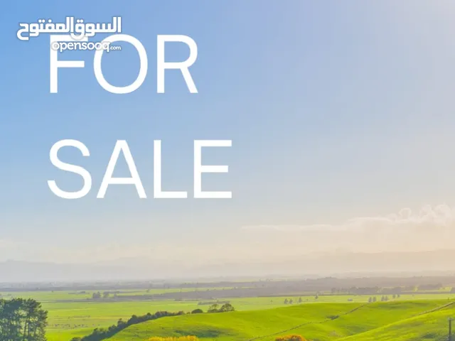 ارض استخدامات متعددة كوريدور عبدون