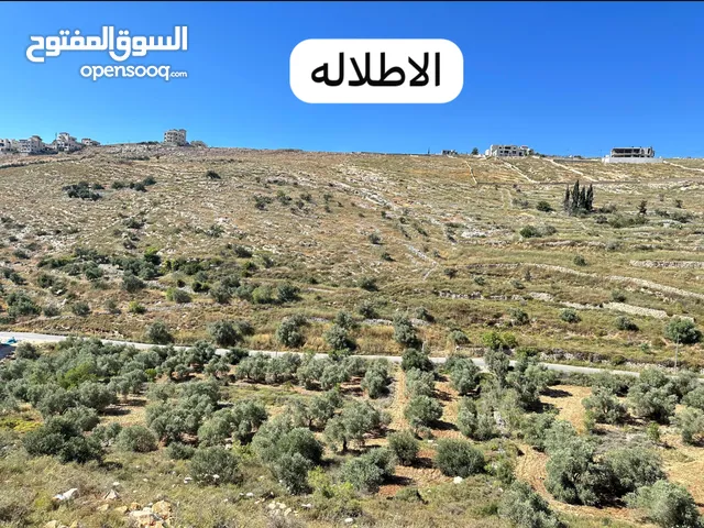 ارض 588 م منطقه العمدان