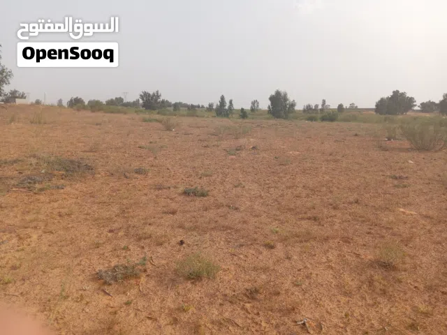 قطعه أرض للإيجار مساحه كبيره