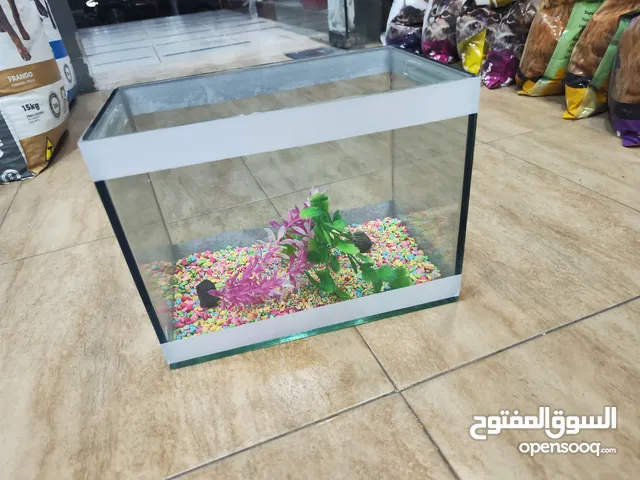 حوض سمك مجهز عبي مي و حط سمكاتك ، الطول 32 سم ارتفاع 23 سم عمق 21 سم