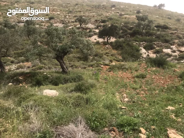 Mixed Use Land for Sale in Nablus Telfit