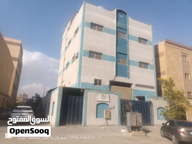 مصنع للايجار