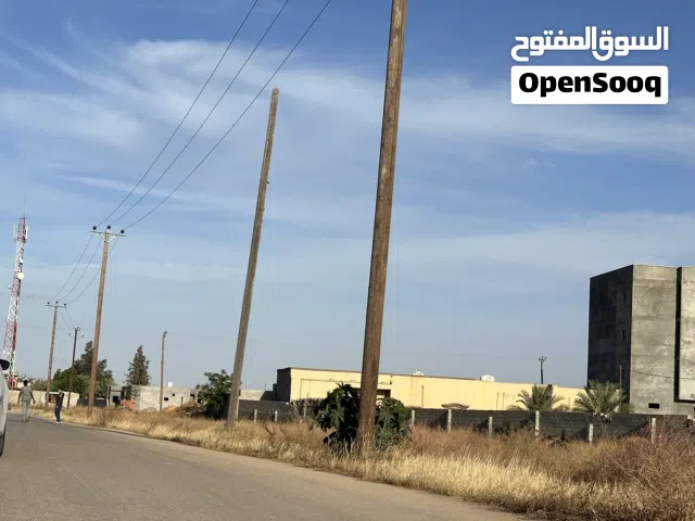 قطعة ارض رئيسي عين زاره