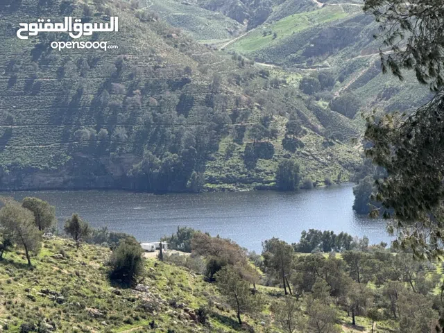 Mixed Use Land for Sale in Jerash Borma