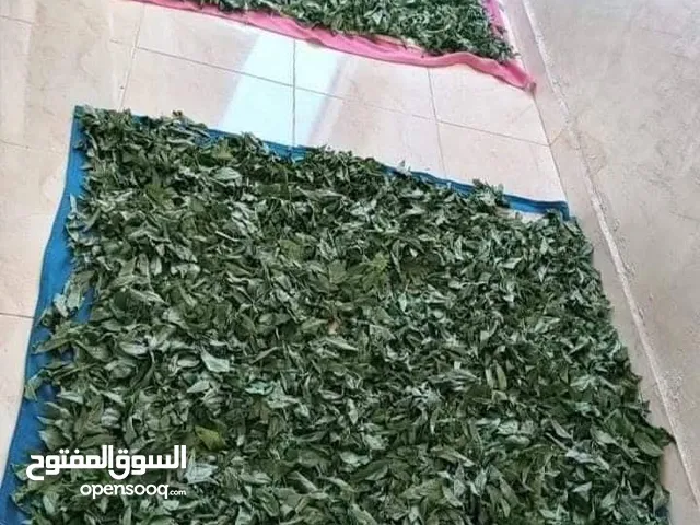 ملوخيه فرم يدوي طازه كفاله زبون ما عجبتك رجعها اهم اشي رضا الزبون وليس الفلوس وهيك