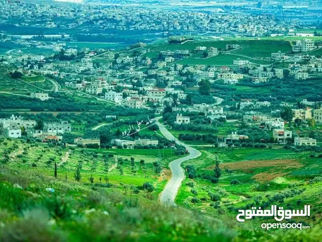 أرض للبيع #غريسا