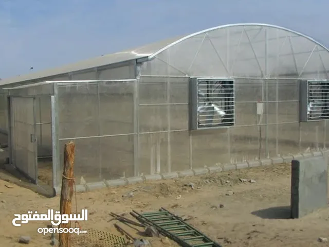 بيوت محميه وصالات زراعيه