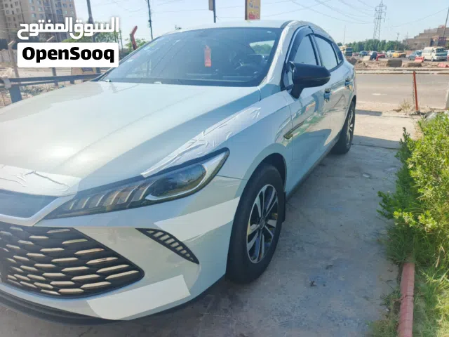 2025 بي واي دي كين