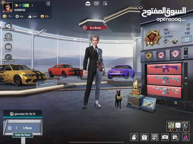 حساب ببجي للبيع قوي