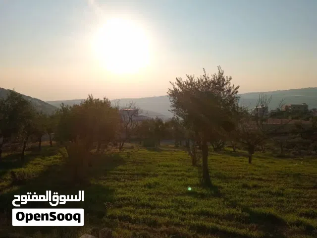 Mixed Use Land for Sale in Amman Mahes