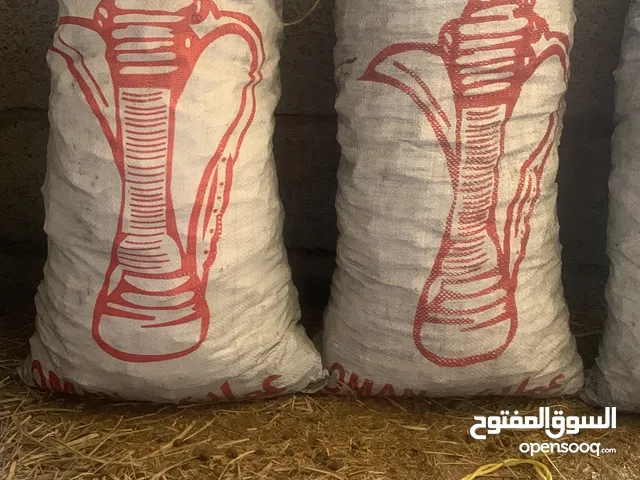 فحم سمر 100٪