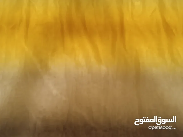 ستاره دجراديه قطعتين كل قطعه 3متر عرض حاله جيده جدا ستاره ملونه