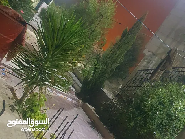 صقر ابو عقيل