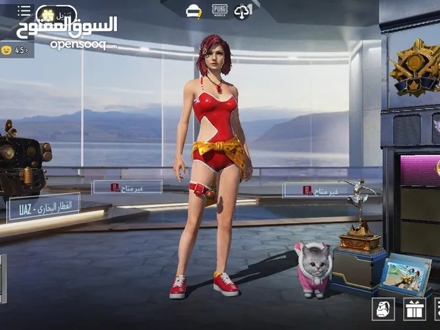 Pubg Accounts and Characters for Sale in Irbid