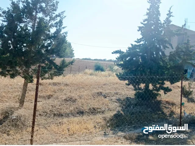 Farm Land for Sale in Madaba Thiban