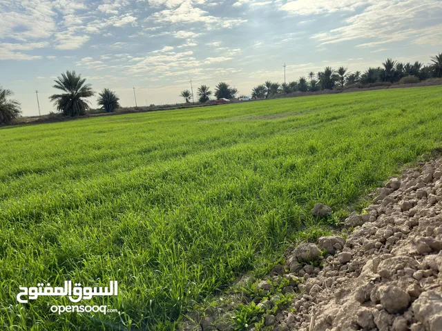 Farm Land for Sale in Baghdad Sham