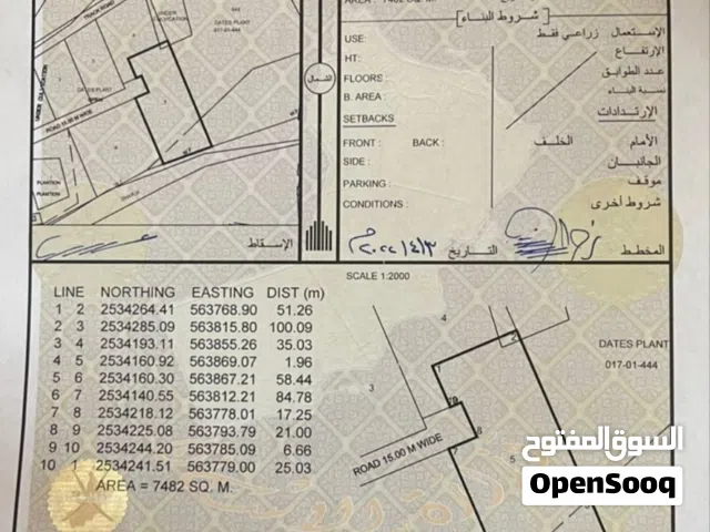 Farm Land for Sale in Al Dakhiliya Nizwa