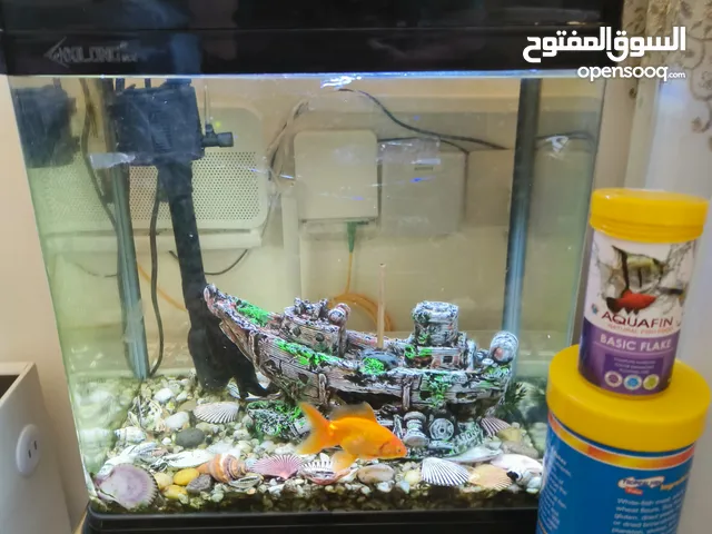 حوض سمك كريستال للبيع